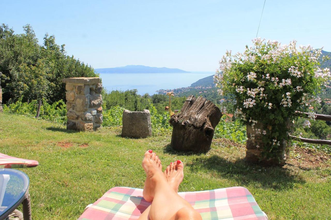 Sea View Apartment With Garden Near Opatija Veprinac Exteriör bild